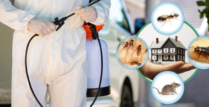 Nallıhan Böcek İlaçlama