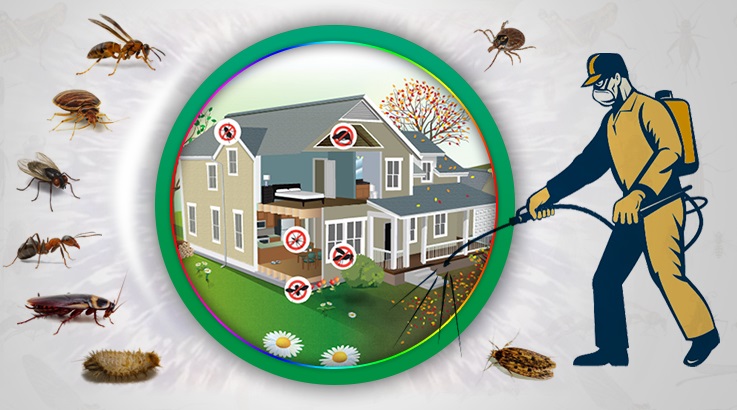 Nallıhan Böcek İlaçlama