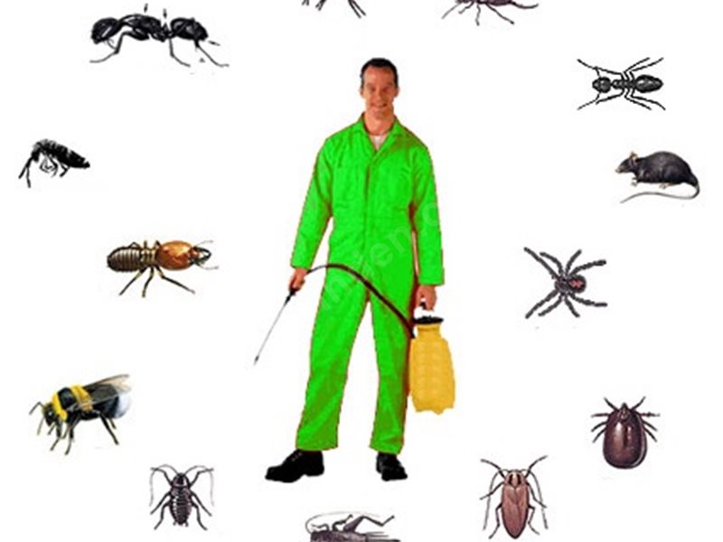 Nallıhan Böcek İlaçlama